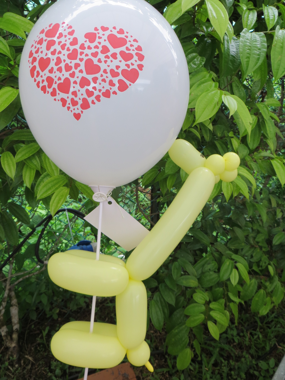 A balloon giraffe and a round heart ballloon