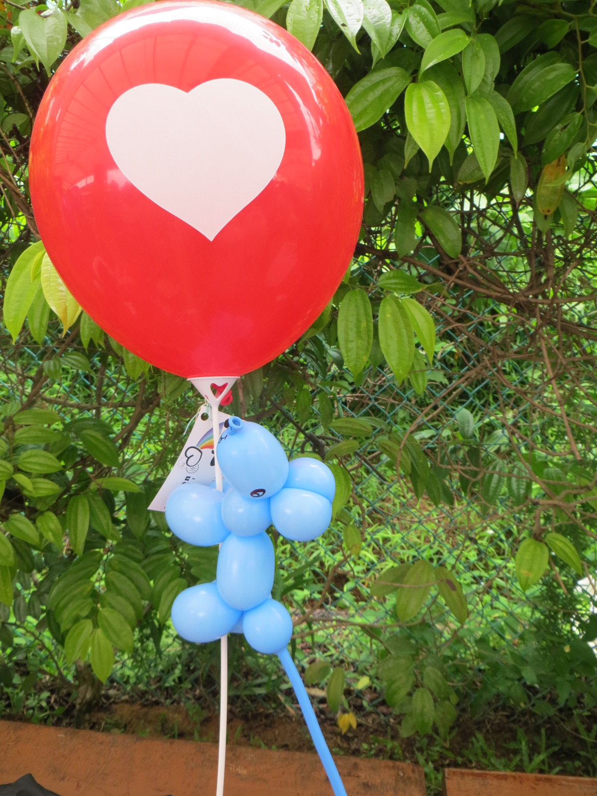 A balloon mouse and a round heart balloon