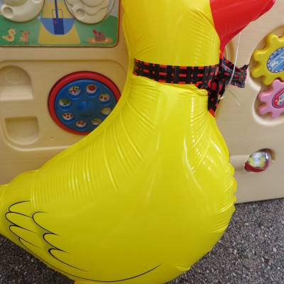 Duck Pet Walker