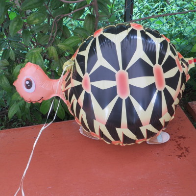 Turtle Pet Walker